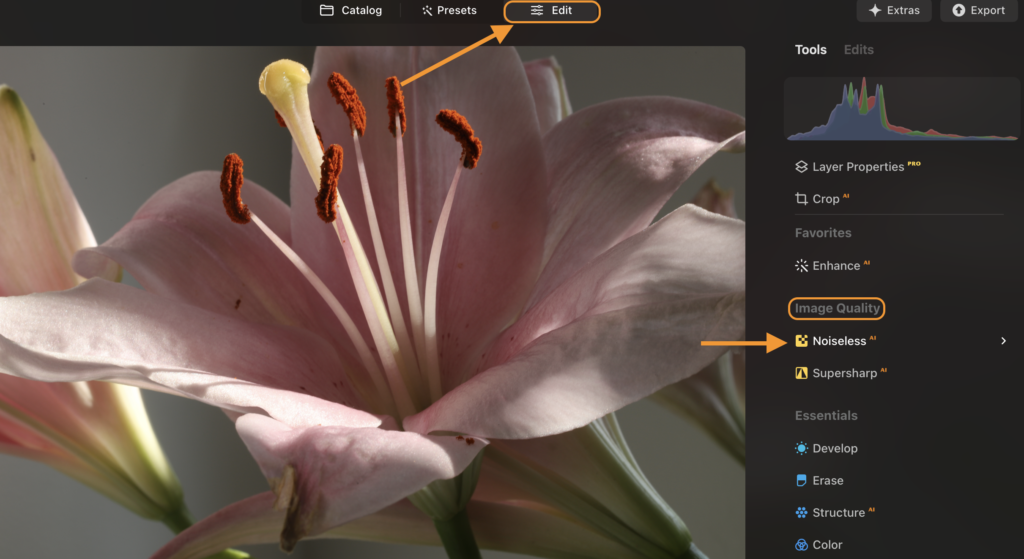 Image Quality and Output Skylum Review